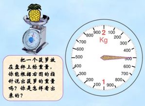 一牛顿等于多少千克