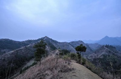 山冈和山岗的区别，一个读第一声另一个第三声